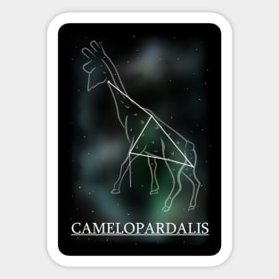 Constellation of the Giraffe Sticker